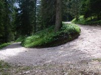 Weg zwischen Wettersteinalm und Schachenhaus