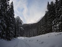 Aufstieg auf der Rodelbahn zu Beginn