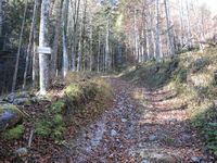 Langsam geht der Anstieg in einen Bergsteig ber