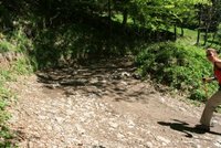 Weg vor dem Hochgernhaus auf circa 1200 Meter