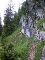 Weg zwischen Schoier-Alm und Brnnsteinhaus