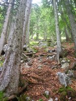 Lengerer Steig Prof. Simwet Klettersteig Professor Simwet Klettersteig