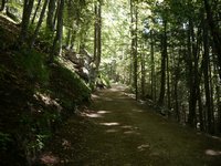 Steiles Stck zwischen Veitenhof und Ritzau-Alm
