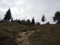 breiter Wanderweg vom Hhlensteinhaus zum Feuerkpfl