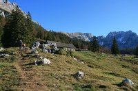 An der Steiner Hochalm - rechts im Hintergrund der Treffauer