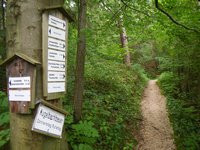 Schilderbaum hinter dem Berghof