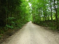 Zum Naturfreundehaus fhrt ein breiter Weg