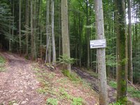 Wegweiser hinter dem Naturfreundehaus