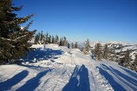 Am Duracher Kogel - hier beginnt nun die zweite Abfahrt