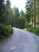 ein breiter Fahrweg fhrt bis zum Brnnsteinhaus