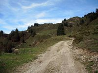 auf dem Weg zur Schnappenalm